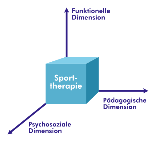 Dimensionen der Sporttherapie